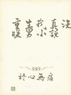 重生我真没想当暖男小说