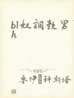 bl奴调教男男h