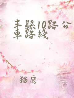 丰县10路公交车路线