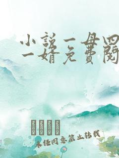 小说一母四女共一婿免费阅读