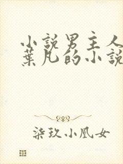 小说男主人公叫叶凡的小说名字