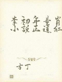 李初年童肖媛的小说正道红途