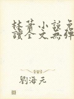 林萧小说免费阅读全文无弹窗