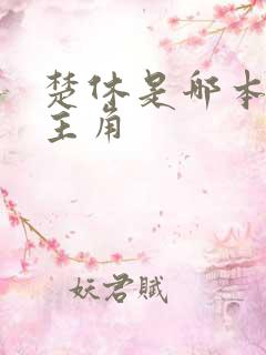 楚休是哪本小说主角
