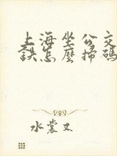 上海坐公交车地铁怎么扫码付款 上海坐公交车地铁怎么扫码付款