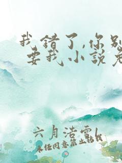 我错了,你别不 要我小说免费阅读