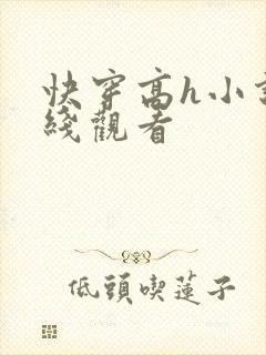 快穿高h小说在线观看 快穿高h小说在线观看