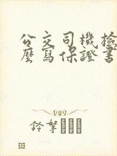 公交司机检查怎么写保证书