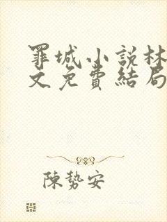 罪城小说林岚全文免费结局在线阅读