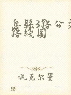 息县3路公交车路线图