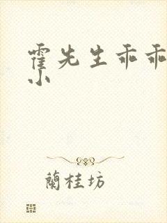 霍先生乖乖宠我小