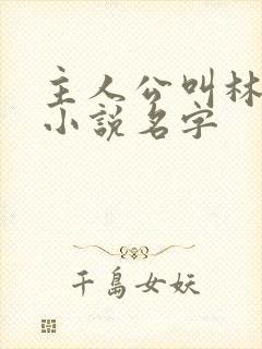 主人公叫林辰的小说名字