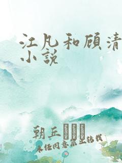 江凡和顾清雪的小说