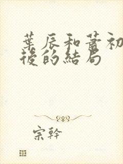 叶辰和萧初然最后的结局