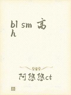 bl sm 高h