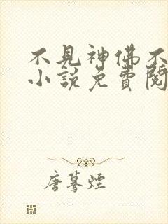 不见神佛不见君小说免费阅读