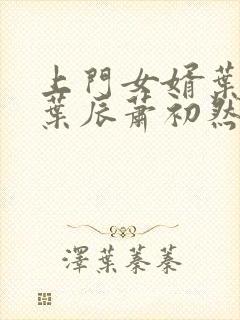 上门女婿叶辰 叶辰萧初然531