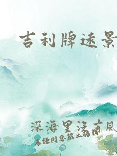 吉利牌远景x3