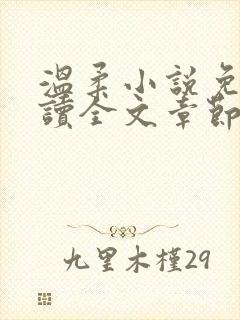 温柔小说免费阅读全文章节