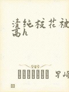清纯校花被调教高h