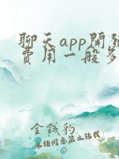 聊天app开发费用一般多少钱