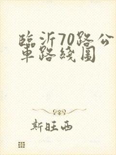临沂70路公交车路线图