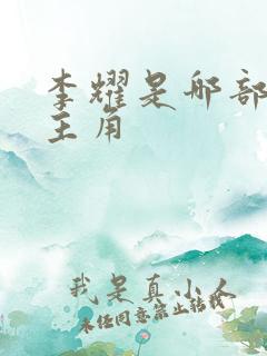 李耀是哪部小说主角