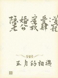 隐婚蜜爱:首席老公放肆宠 隐婚蜜爱:首席老公放肆宠