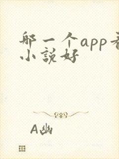 哪一个app看小说好
