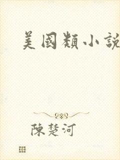 美国类小说