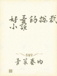 好看的总裁长篇小说