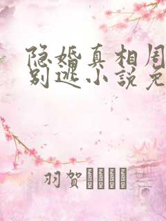 隐婚真相周少你别逃小说免费阅读