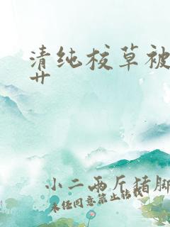 清纯校草被民工艹