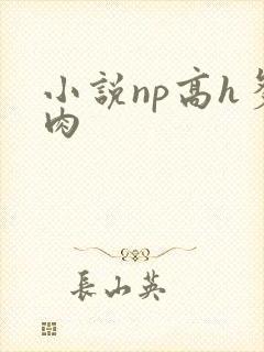 小说np高h多肉