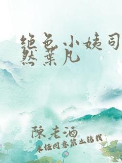 绝色小姨司空嫣然叶凡