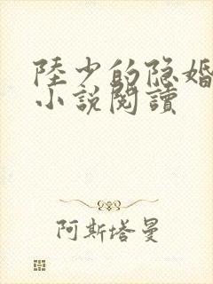 陆少的隐婚罪妻小说阅读