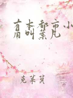 有本都市小说主角叫叶凡