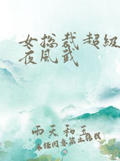女总裁超级兵王夜风武