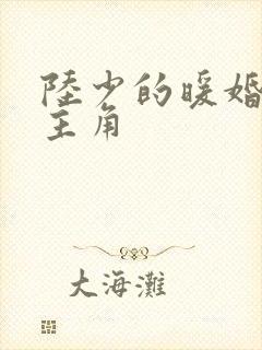陆少的暖婚新妻主角 陆少的暖婚新妻主角