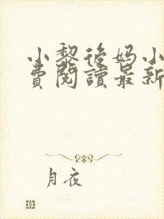小黎后妈小说免费阅读最新章节更新