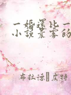 一婚还比一婚高小说晨雾的光