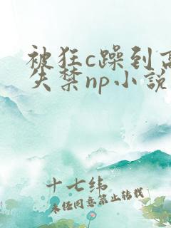 被狂c躁到高潮失禁np小说推荐 被狂c躁到高潮失禁np小说推荐