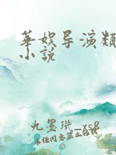 华娱导演类长篇小说