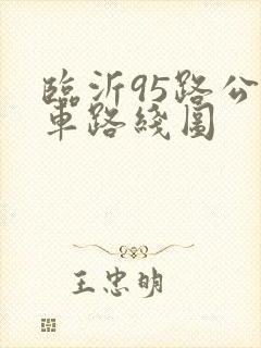 临沂95路公交车路线图