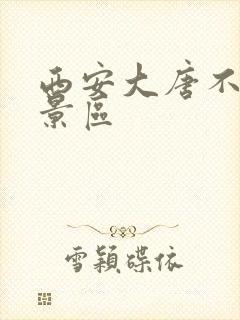 西安大唐不夜城景区