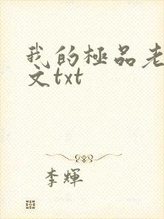 我的极品老婆全文txt