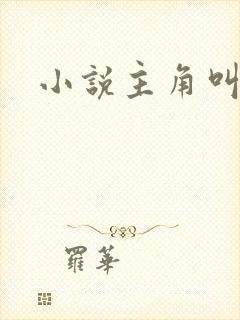 小说主角叫林渊
