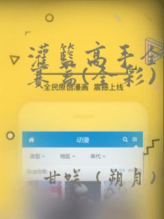 灌篮高手全国大赛篇(全彩)：结局+番外