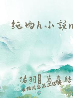 纯肉h小说np