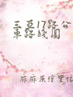三亚17路公交车路线图